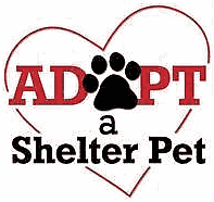 Greene County Dog Shelter, VA