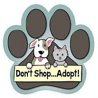 Essex County Dog Shelter, VA