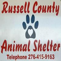 Russell County Dog Shelter, VA