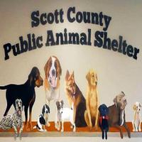 Scott County Dog Shelter, VA