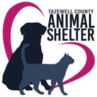 Tazewell County Dog Shelter, VA