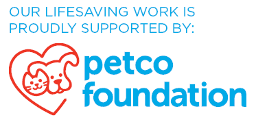 Petco
